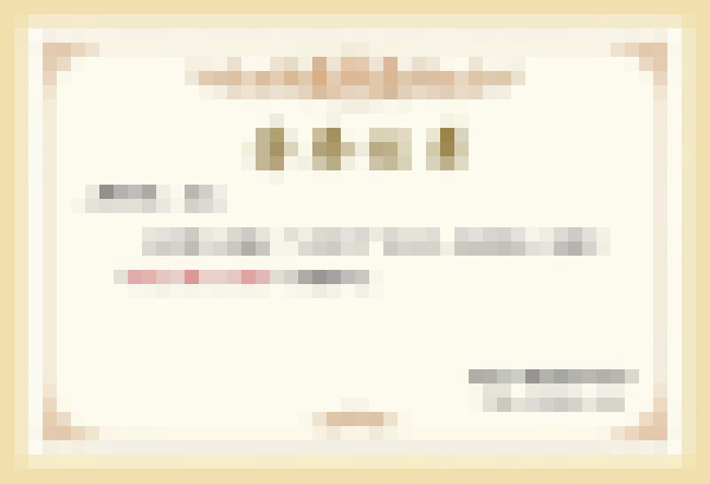 荣誉证书二